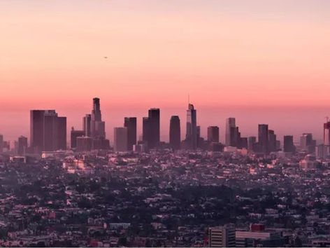 Paving The Way To COP15 & COP26 - #WCFEUROPE