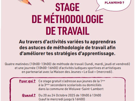 Stage de méthodologie de travail