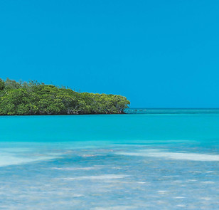 Southern Belize Island Hopping _ Hopkins Village