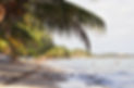 Hopkins Village Beach - Belize.jpg