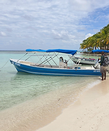 Moho Caye day trip from Hopkins, Belize