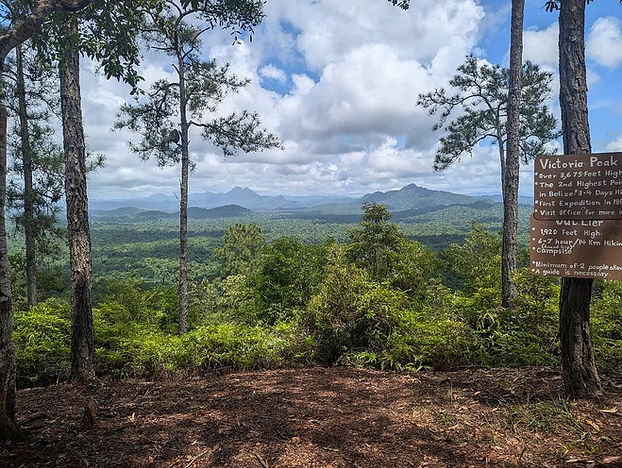 cockscomb-basin-jungle-hike-tour