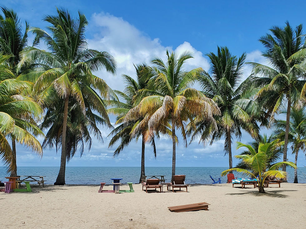 Beach at Coconut Husk, Hopkins Belize