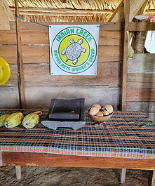 Indian Creek Women's Group
