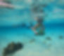 marine-sea-tours-hopkins-village-belize