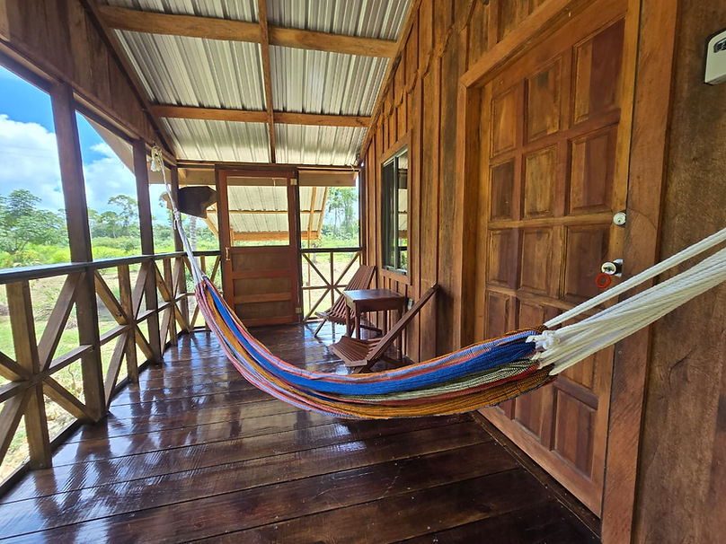 A hammock and wooden deck in the Belize forest