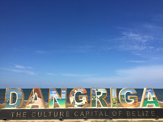 Dangriga Airport to Hopkins Village Shut