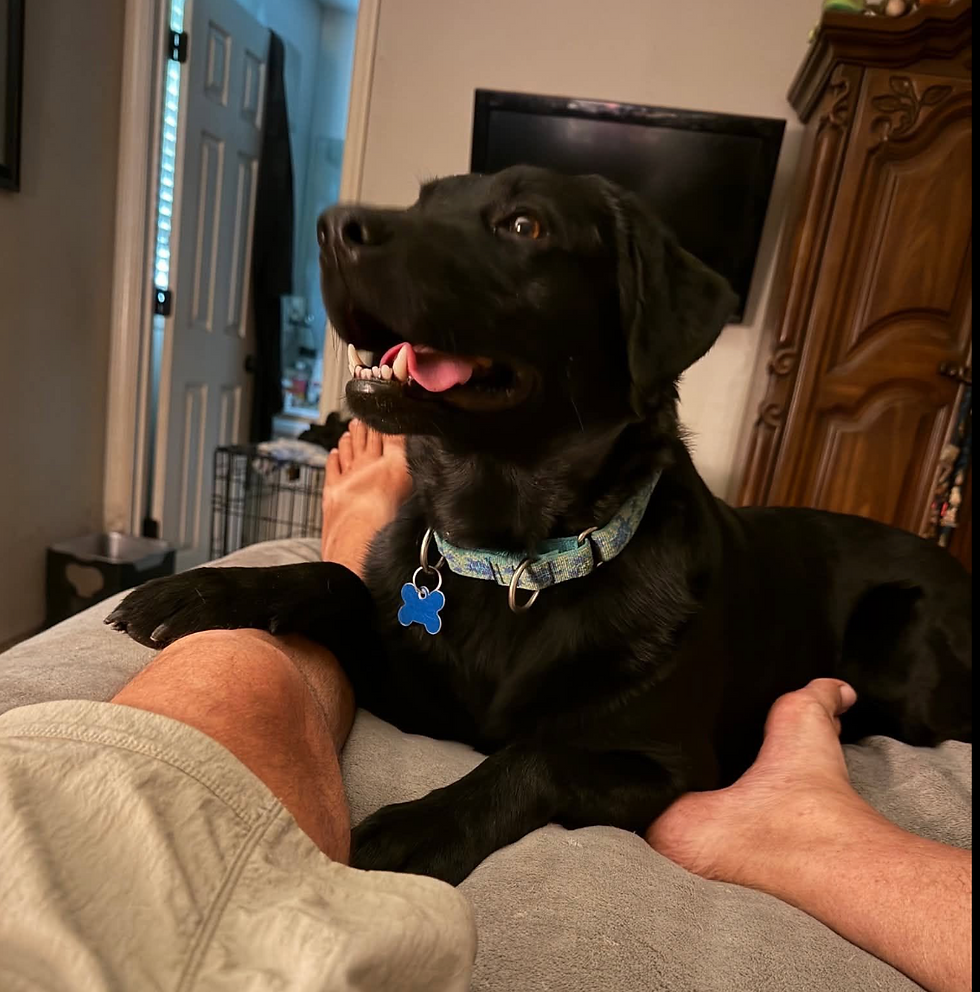 Clyde on bed