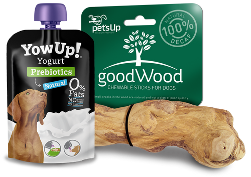 Prebiotics Natural Yoghurt For Dogs GoodWood Medium YowUp! Natural