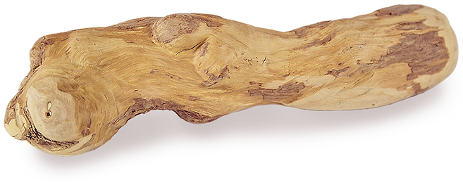 GOODWOOD Chewable sticks for dogs