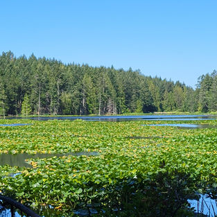 View from Greenburn Lake’s east end.