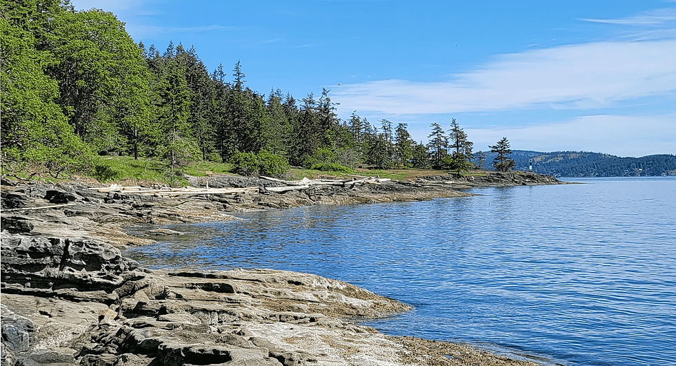 Ruckle-Campground-shoreline_May-6-2025.gif