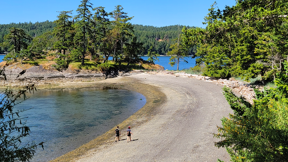 One of two crescent-shaped shell beaches in the Beaumont Marine Park.  