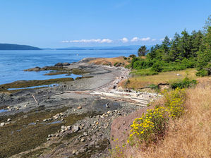 Driftwood-littered Brooks Point and beach on South Pender Island, British Columbia.