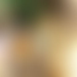 フランスあんぱん　ベーコンエピ