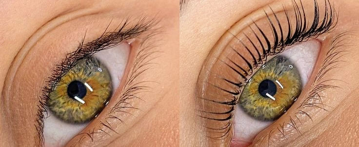 Before and after a Korean lash lift and tint Grey Lynn