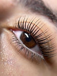 Korean lash lift result at Saab Lash Studio Grey Lynn