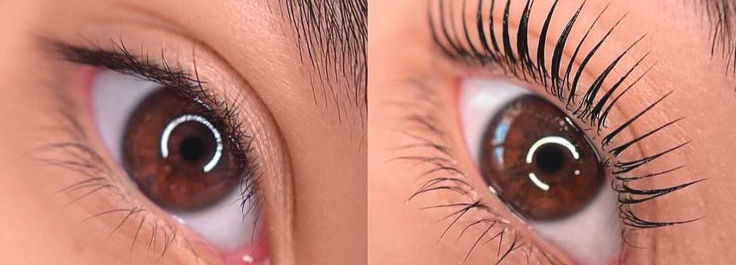 Korean lash lift result at Saab Lash Studio Grey Lynn