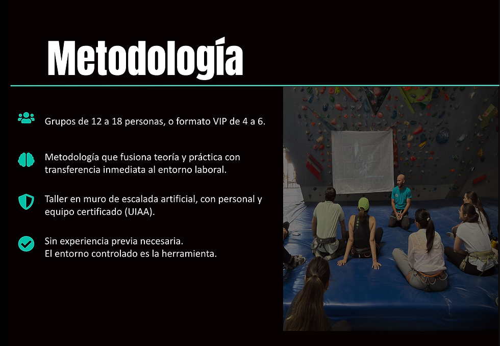 Equipo de empresa con arneses en muro de escalada artificial durante taller de team building en Quito