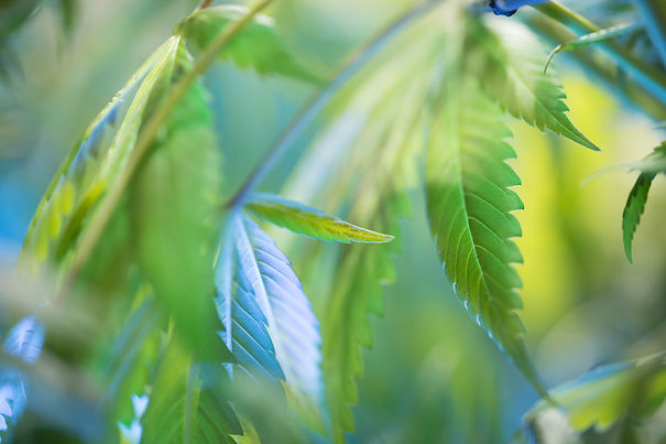 AdobeStock_111559170.jpeg