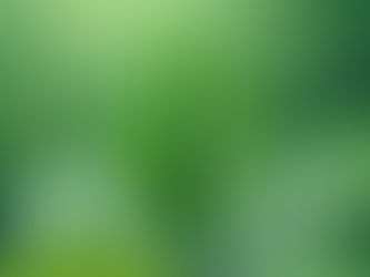 How long do the effects of Green Maeng Da Last?