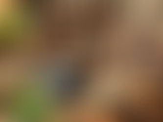 Making Kratom Tea at Home [2024]