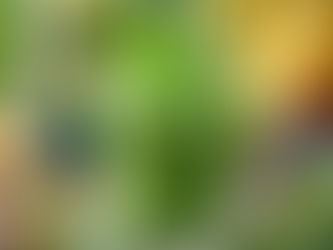 Benefits of Kratom Smoothie [2024]