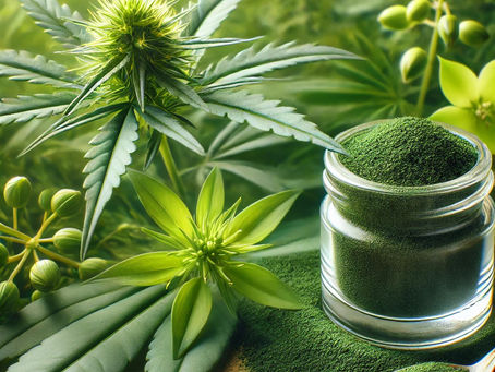 How Long for Kanna Extract to Work?