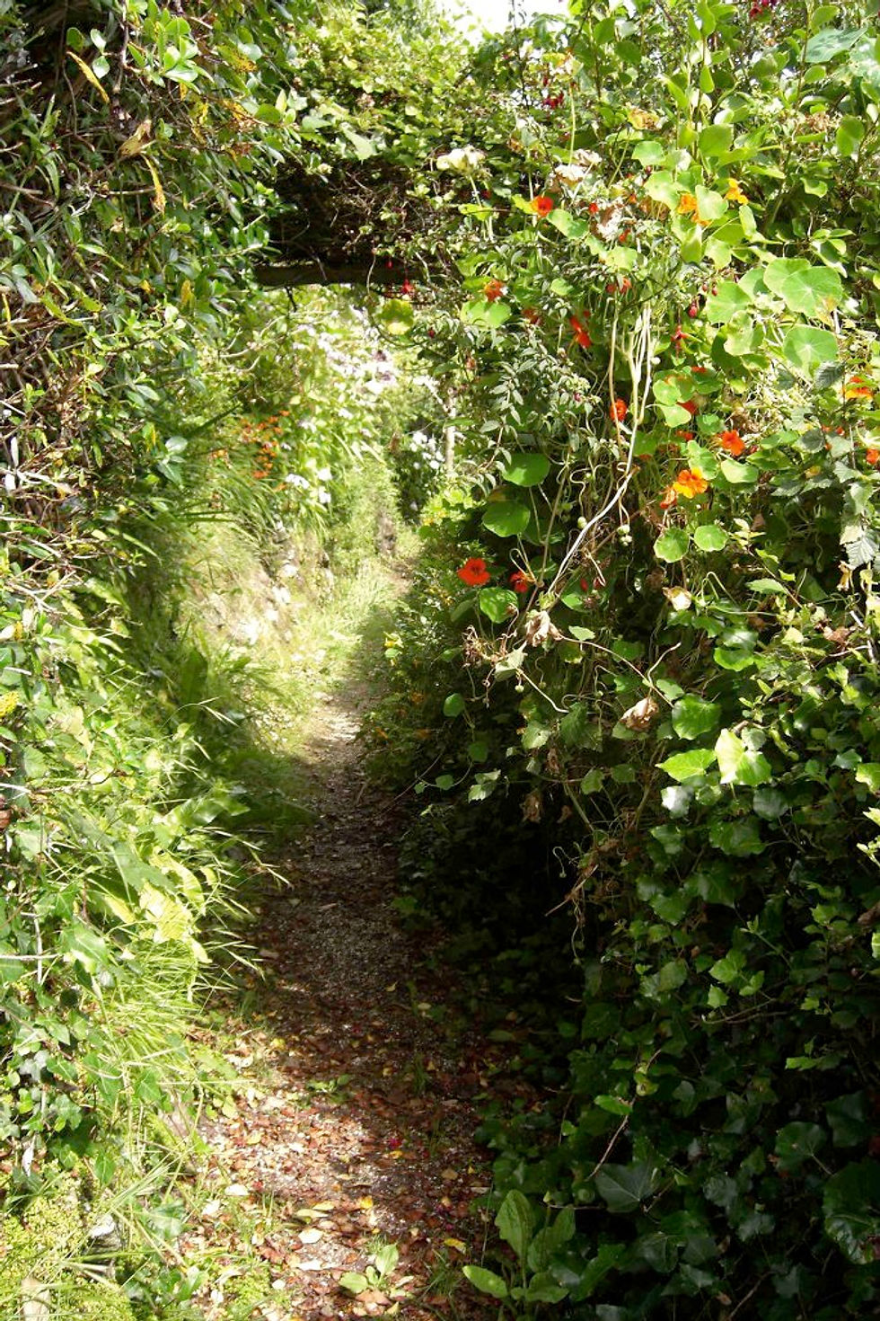 Secret path