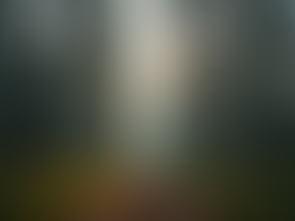 Exploring Sacred Grove Practices for Modern Witchcraft