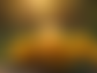 Litha: Honoring the Fire of the Sun and the Light Within