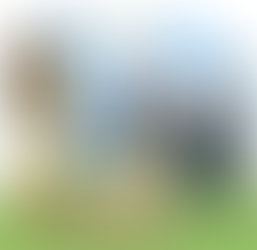 Quanto custa um Inventário?