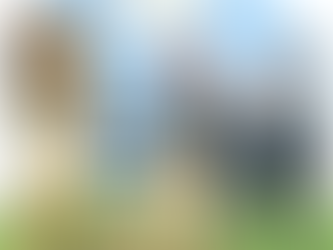 Quanto custa um Inventário?