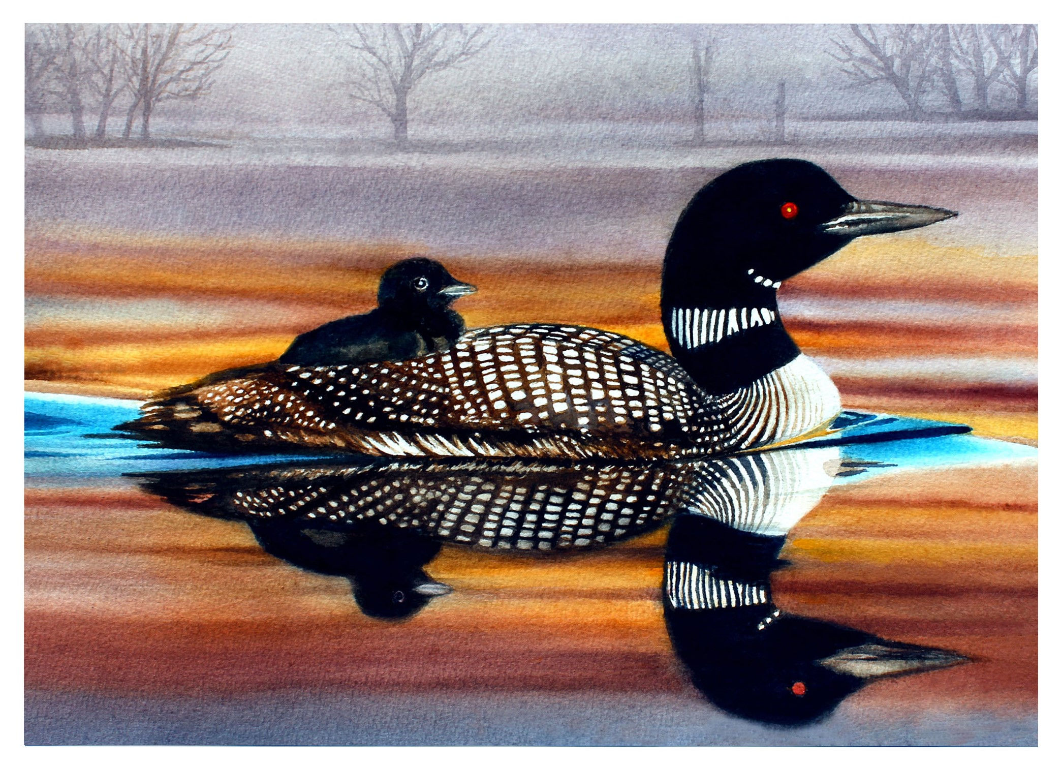 Loon Sunrise