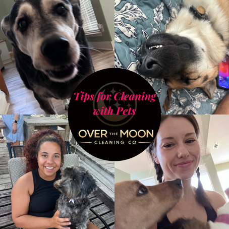 Tips for Keeping Your Home Clean with Pets