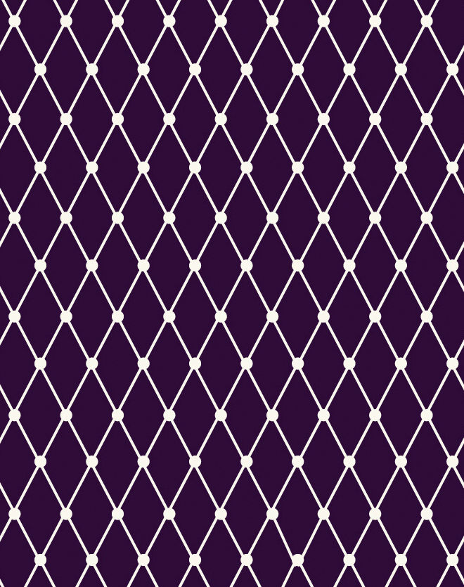 Fishnet- Equinox-Night Shade Deja Vu by Tula Pink