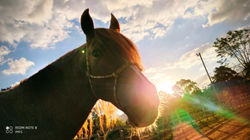 IMG_20200811_164727-EFFECTS