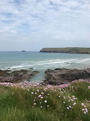 Thrift on Cornish Headland image by The Painted Wren.co.uk ©