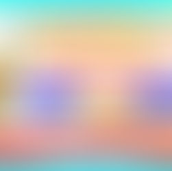 NSS പുഷ്പവിഹാർ കരയോഗത്തിന്റെ ഓണാഘോഷo