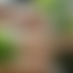 രക്ഷാബന്ധൻ: