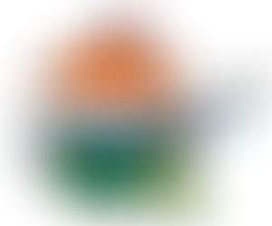 വികാസ്പുരി കേരള സ്കൂളിൽ സ്വാതന്ത്രദിനാഘോഷച്ചടങ്ങുകൾ 