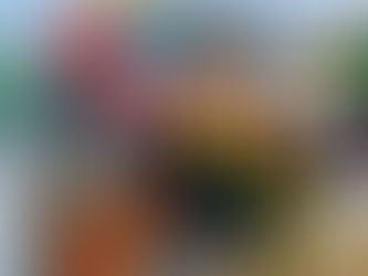 ആർ കെ പുരം രാമകൃഷ്ണ ബാലഗോകുലത്തിന്റെ ശോഭാ യാത്ര