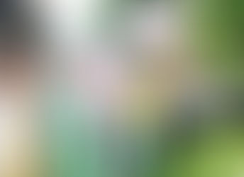 ഡോക്ടർമാരുടെ സമരം; ആരോഗ്യ മന്ത്രാലയത്തിന് മുമ്പിൽ ഇന്ന് ഫ്രീ OPD