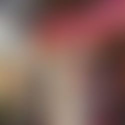 പാലം ഇൻഫന്റ് ജീസസ് ഫൊറോനാ പള്ളിയിൽ തിരുനാളിന് കൊടിയേറി