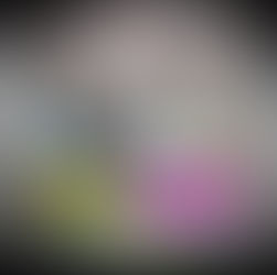 ഡൽഹി മലയാളി അസോസിയേഷൻ ആശ്രം-ശ്രീനിവാസ്പുരി- കാലേഖാൻ- ജൂലൈനാ ശാഖ സിൽവർ ജൂബിലി ആഘോഷങ്ങളും ക്രിസ്മസ് പുതുവത്സര പരിപാടികളും ഇന്ന് തുടങ്ങുന്നു.