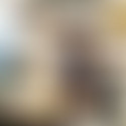 'റോബസ്റ്റയും ലിബറിക്ക' യുമായി വിപണന മേളയിലെ അതിരപ്പള്ളി സ്റ്റാൾ