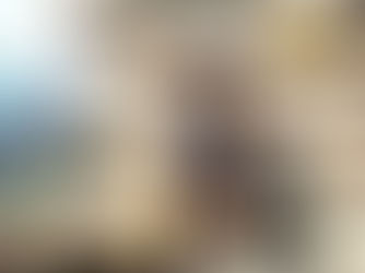 'റോബസ്റ്റയും ലിബറിക്ക' യുമായി വിപണന മേളയിലെ അതിരപ്പള്ളി സ്റ്റാൾ