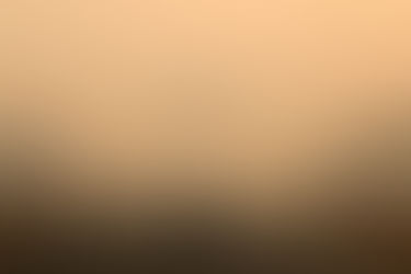 മലിനീകരണം നേരിടാൻ വിന്റർ ആക്ഷൻ പ്ലാൻ തയ്യാറാകുന്നു