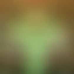 ഡൽഹി നിയമസഭാ സമ്മേളനം തിങ്കളാഴ്ച്ച മുതൽ; അരവീന്ദർ ലവ്ലി പ്രോട്ടെം സ്പീക്കർ