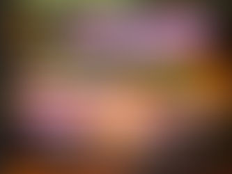 ജനക്പുരിയിൽ കാവ്യമേള